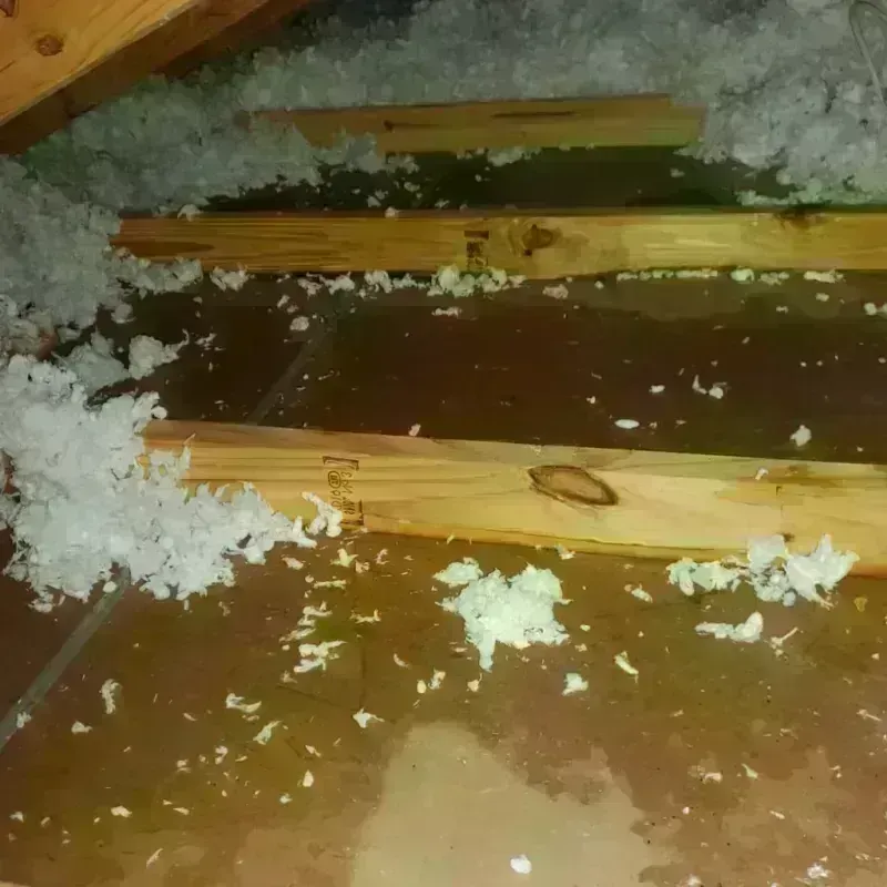 Attic Water Damage in Belen, NM